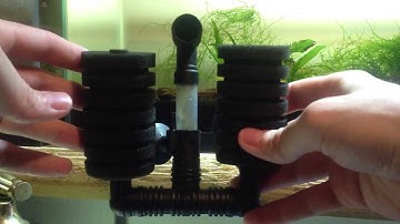 Double Sponge Filter Setup and Tips