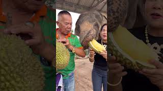 มหาเฮงเห็นทุเรียนพูใหญ่ขนาดนี้ อดใจไม่ไหวWhen Maha Heng Saw This Big Durian Pool, He Couldn't Resist