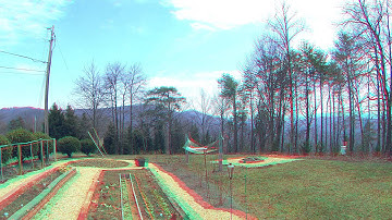 3D Garden Timelapse - Anaglyph Method with Premiere Pro CC