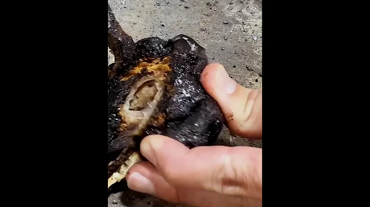 Chicken vs Lava Testing Liquids That Melt Everything #shorts #acidvslava #acid