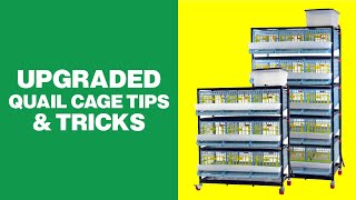 Upgraded Quail Cage Tips Tricks