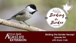 Birding the Border Recap - Cup Chat 104
