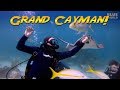 Family Diving Grand Cayman | JONATHAN BIRD'S BLUE WORLD