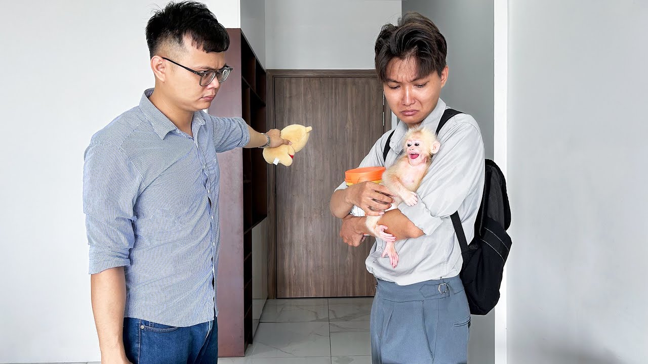 Monkey Baby Molly begs to let her stay in the house while Dad's brother says No!