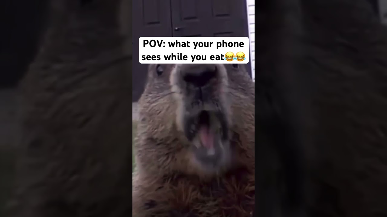 What your phone sees while you eat 