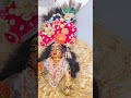 Arji hmari marji tumhari 🙏🥺#trending #laddu #shyam #radhekrishna #vindawan #viralshort