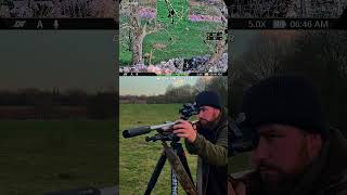 The Silent In Hunting Crows With .22Lr Subsonics Dnt Thermnight 335R