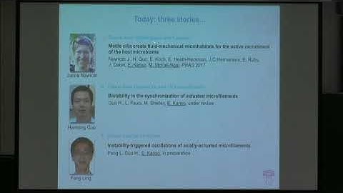 GFSW01 | Prof. Eva Kanso | Flow-mediated synchronization of swimmers and rotors at the micron scale