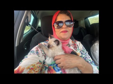 عاوتاني عاجييييل صدمتوون قويتوون مزنزنتوون