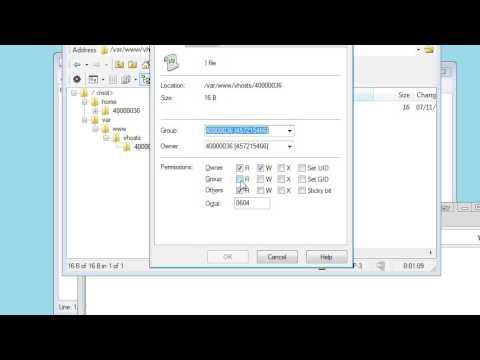 Connect to mysql from php pdo