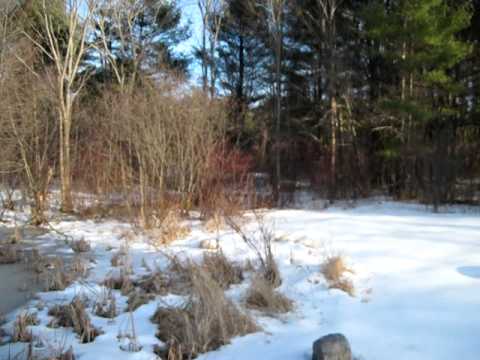 73 Watson Mill Rd, Saco, ME home video tour