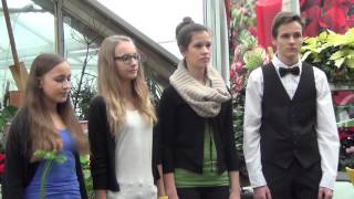 Love knows no borders (Sally DeFord)