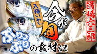 【食べるなら今！脂の乗った旬のいわし】いわしのおろし煮＆いわしの焼きフライ～道場六三郎の家庭料理レシピ～#24