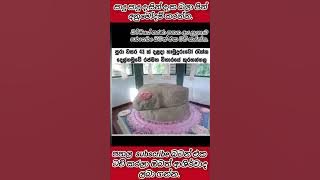 දැකලත් නොදැක්කා වගේ යන්න එපා #buddha #ashirvad #virelshorts #ternding #shorts