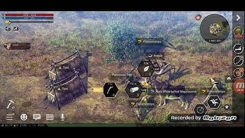 How to capture and taming animal in Durango : wild lands