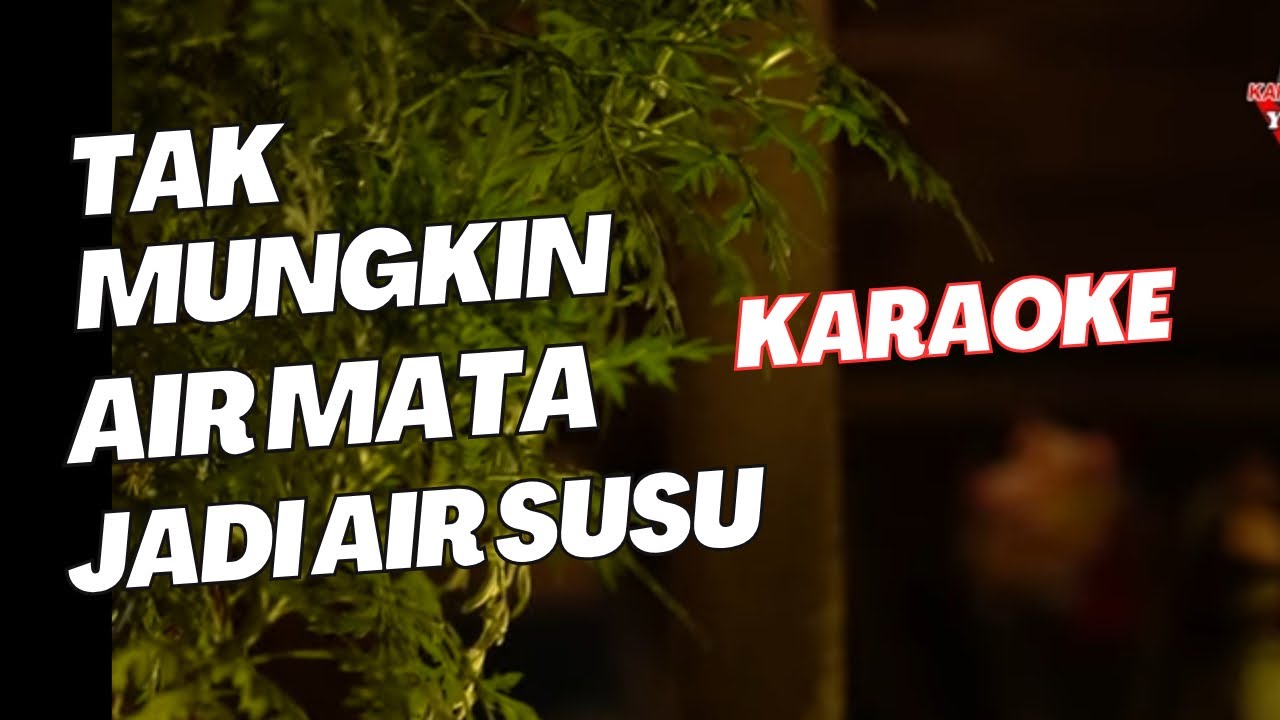 TAK MUNGKIN AIR MATA JADI AIR SUSU KARAOKE NADA COWOK PRIA