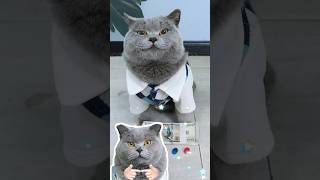😜Attend An Event By Stopping Time🎶🤟 | Money Plans #Funnycat #Funnymemes #Trending