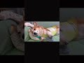 Puppy Foot Press: Cat &amp; Dog Cuties Unite for a Healing Giggle