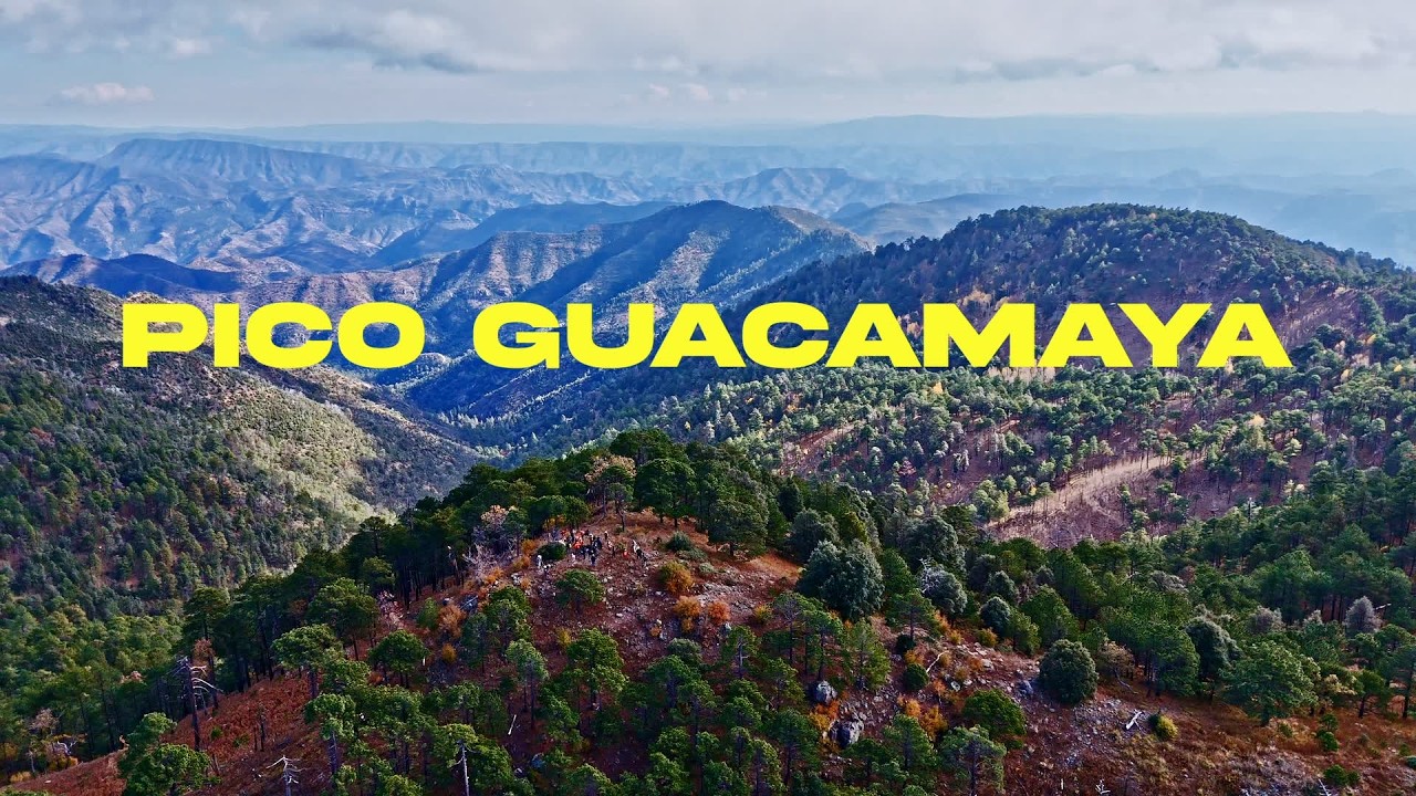 Subiendo al punto más alto de Sonora – Pico Guacamaya