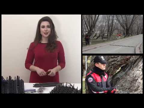 Yol Kapanı - Lastik Patlatan | Taşınabilir Araç Durdurma ve Lastik Patlatma Sistemi