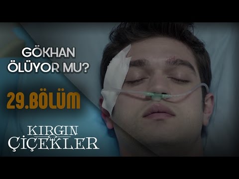 Kırgın Çiçekler 29.Bölüm - Gökhan Hayatını Kaybediyor ! - Gyuli Çkimi - Klip