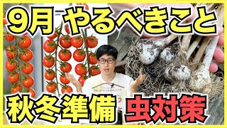 【家庭菜園】9月に家庭菜園でやるべきこと！種まきや苗を植えたら防虫ネットで秋冬野菜の虫対策をしよう
