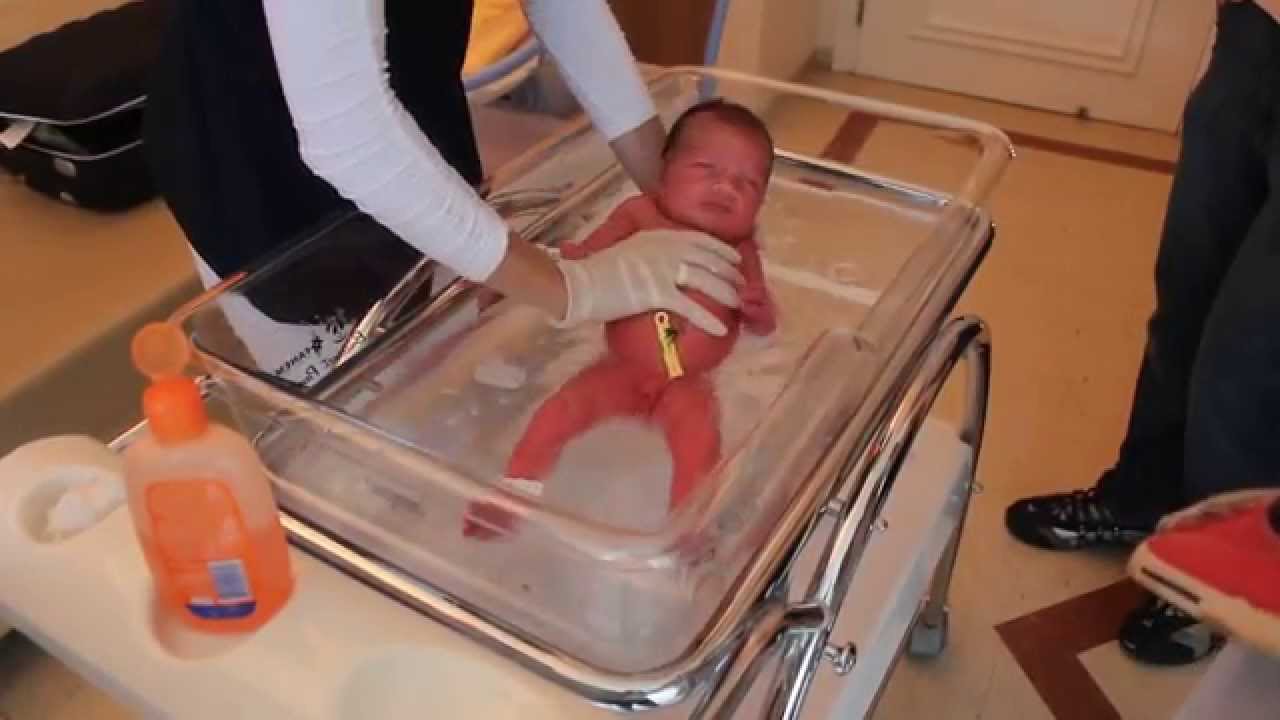 Primeiro banho da Liv