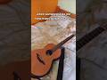 this isnt even all of them lol #guitar #guitartok #memes #music #fyp