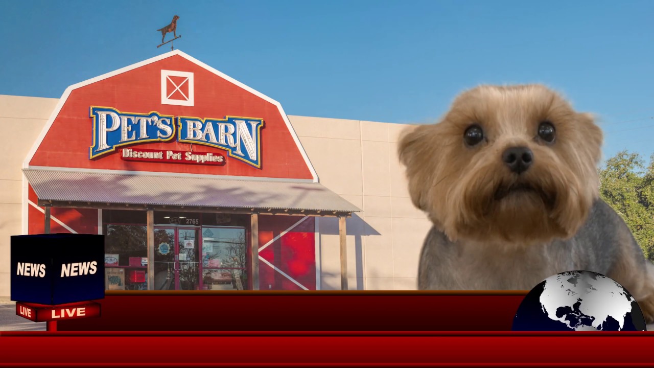 Free Custom Pet Food Bag at Pet's Barn! YouTube