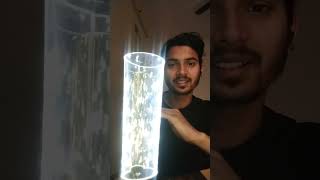 Creative Table Lamp #trendingshorts #ecofriendlytech #homeandkitchen #trending #creativetablelamp