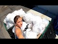 Dumpster Diving- Store filled two Dumpsters!