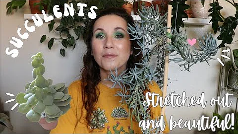 𝐒𝐭𝐫𝐞𝐭𝐜𝐡𝐞𝐝 𝐎𝐮𝐭 𝐒𝐮𝐜𝐜𝐮𝐥𝐞𝐧𝐭𝐬 & 𝐖𝐡𝐲 𝐈 𝐃𝐎𝐍'𝐓 "𝐅𝐢𝐱" 𝐓𝐡𝐞𝐦!