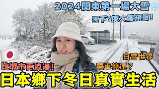 【我在日本鄉下真實生活】2024日本関東第一場大雪❄️比城市更美！整個街頭變成了銀白世界~冬日大雪警報！浪漫治癒雪景神社~電車停運去不了東京？│#日本日常生活vlog│Kodootv