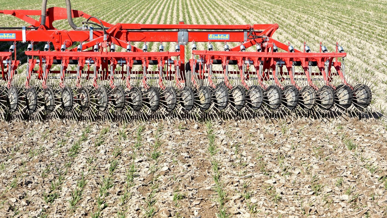 Rollstriegel EINBÖCK AEROSTAR-ROTATION (NEW VERSION OF VIDEO AVAILABLE)