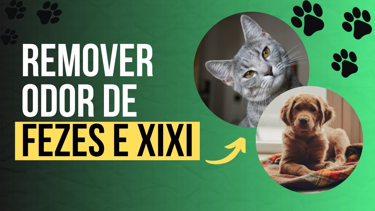 Remover odor de xixi de cachorro ou gato? Solução eficaz para eliminar