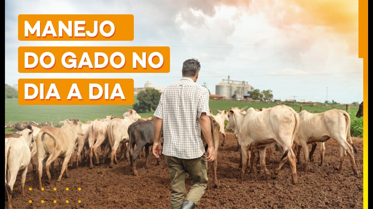 Se você não observa isso, o resultado sente