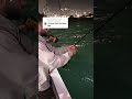 Nice Jack