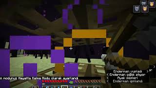angry enderman