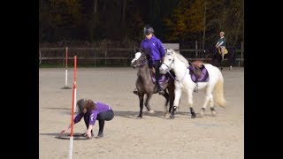 Les Ultraviolets Marolles - Novembre 2017