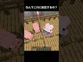 俺のマイクラがおかしい #マイクラ #マインクラフト #minecraft