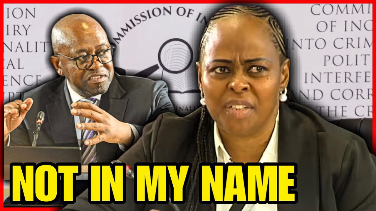 You Won’t Believe What Did She Said Today During Her Interview Evidence At Madlanga Commission!