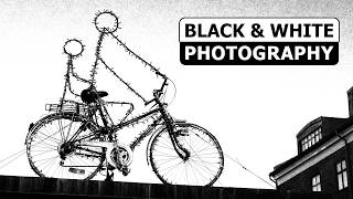 First photos from March 2026 -|- Black & White Photography Slideshow