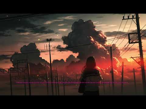 Stray Nights / Tom Frane 　『日本語翻訳』