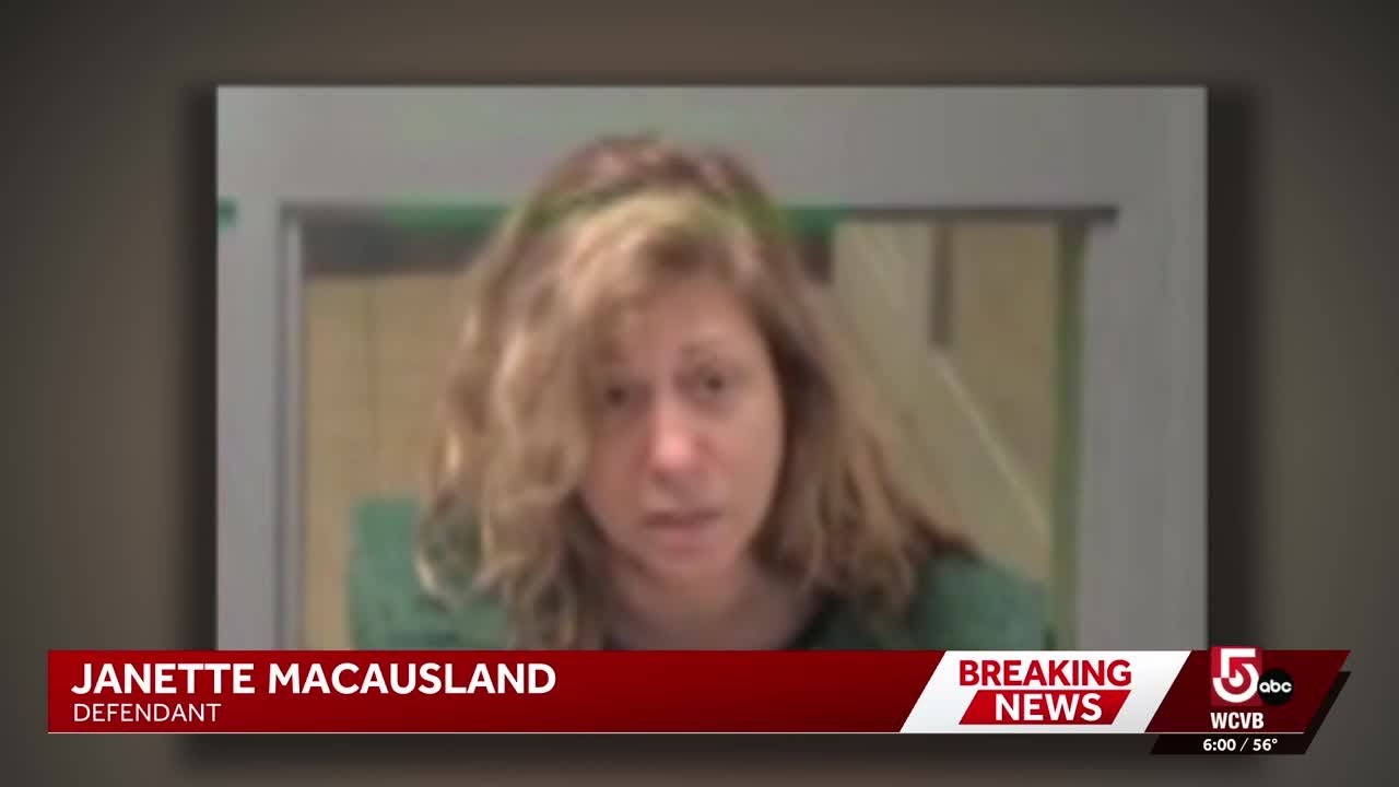 Wellesley mother accused of killing her 2 children confessed, court ...