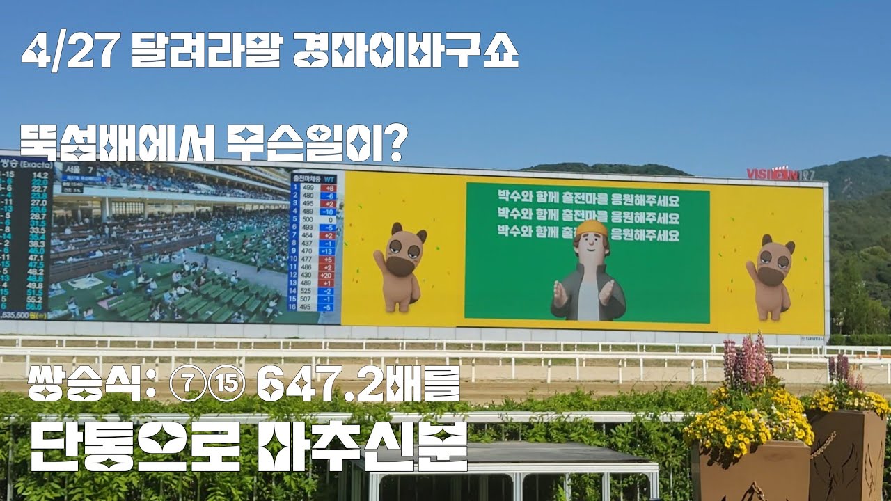 경마장 처음 오신분의 곤조가 먹히네?(첫판부터 무조건 깜박이 단통배팅)