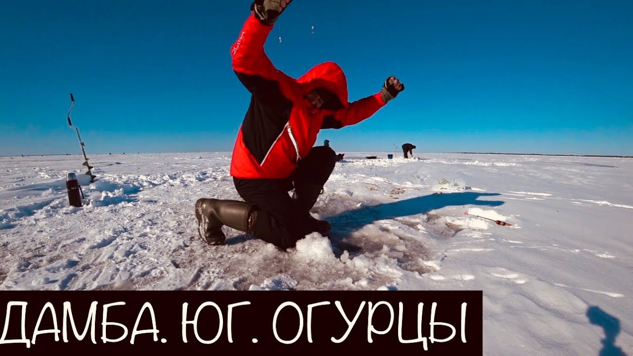 Дамба на волге
