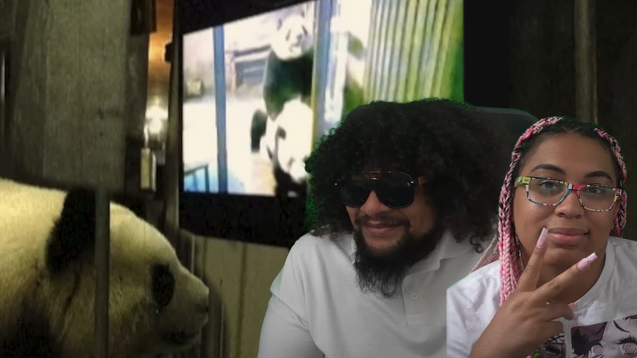 Should We Let Nature Finally Delete Pandas?