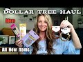 Exciting New Dollar Tree Haul | Opening Items & Ideas | June 24