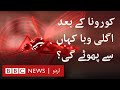 Where will the next pandemic come from? - BBC URDU