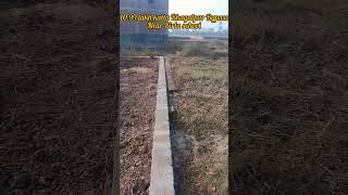 Bhagalpur me sasta residential plot...🏡#bhagalpur #property #bhagalpurland #plot #sell